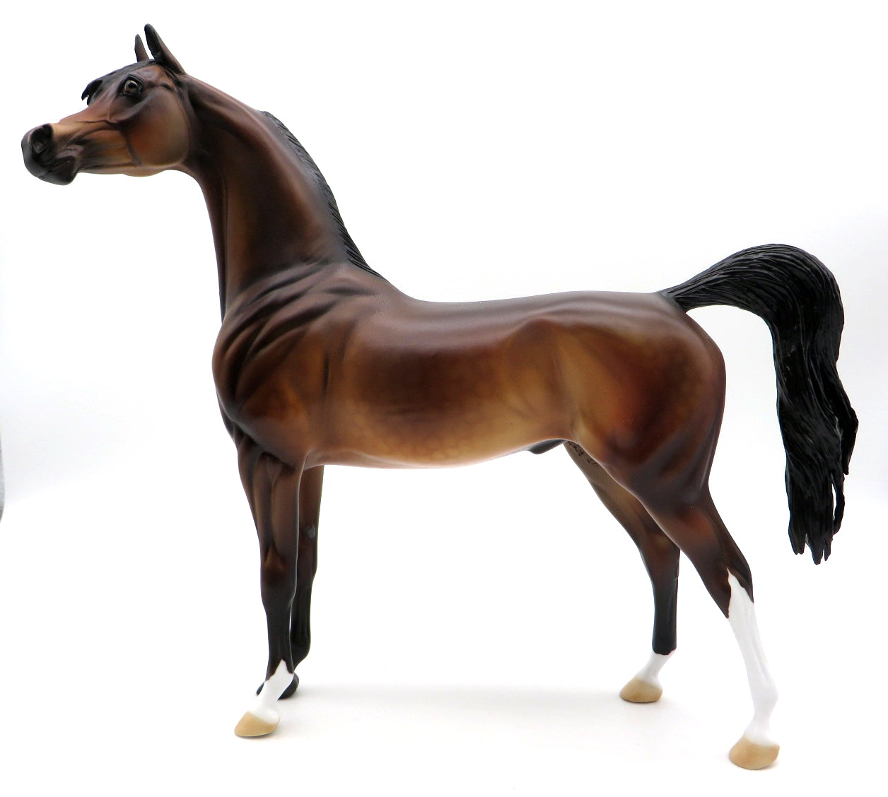 First Down - OOAK Bay Arabian - Stone Bowl V