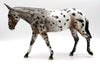 Sheza Maniac-OOAK Loud Leopard Appaloosa Mule Painted by Sheryl Leisure 1/31/22