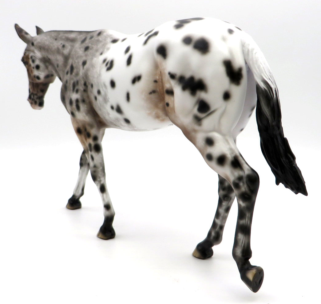 Sheza Maniac-OOAK Loud Leopard Appaloosa Mule Painted by Sheryl Leisure 1/31/22