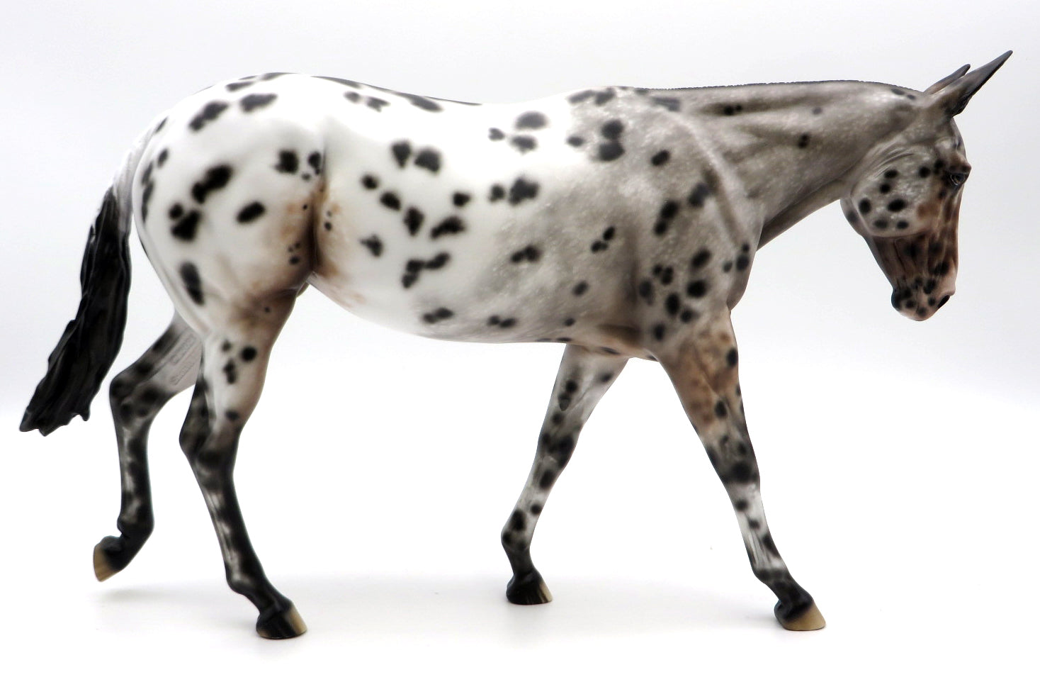 Sheza Maniac-OOAK Loud Leopard Appaloosa Mule Painted by Sheryl Leisure 1/31/22
