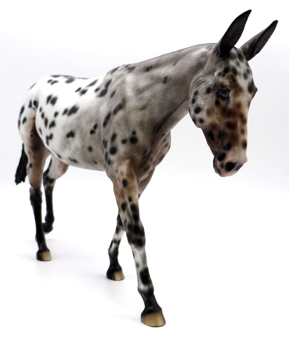 Sheza Maniac-OOAK Loud Leopard Appaloosa Mule Painted by Sheryl Leisure 1/31/22