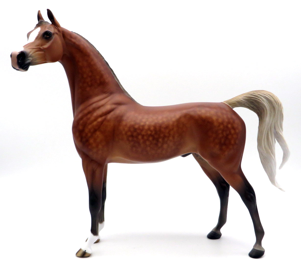 Little Red Corvette-OOAK Silver Bay Arabian Painted by Sheryl Leisure 1/31/22