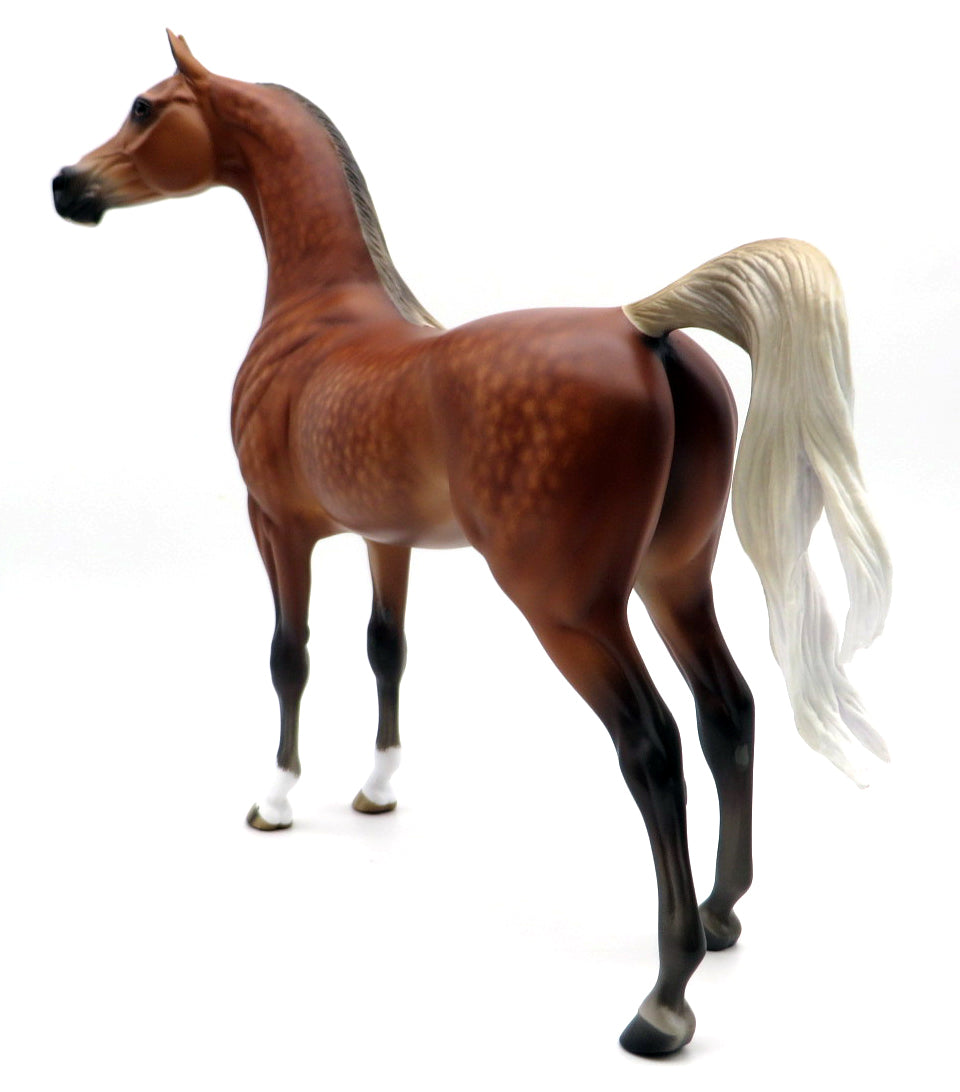 Little Red Corvette-OOAK Silver Bay Arabian Painted by Sheryl Leisure 1/31/22