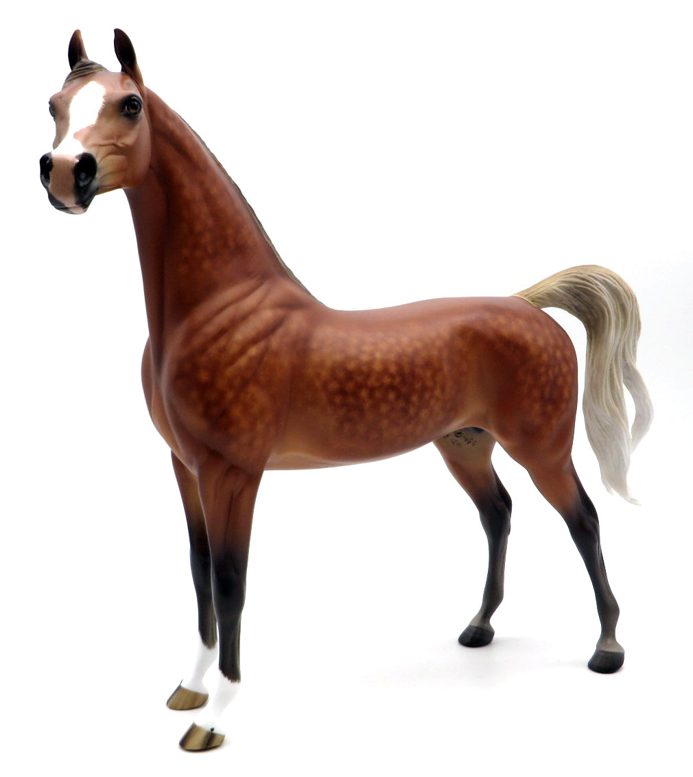 Little Red Corvette-OOAK Silver Bay Arabian Painted by Sheryl Leisure 1/31/22