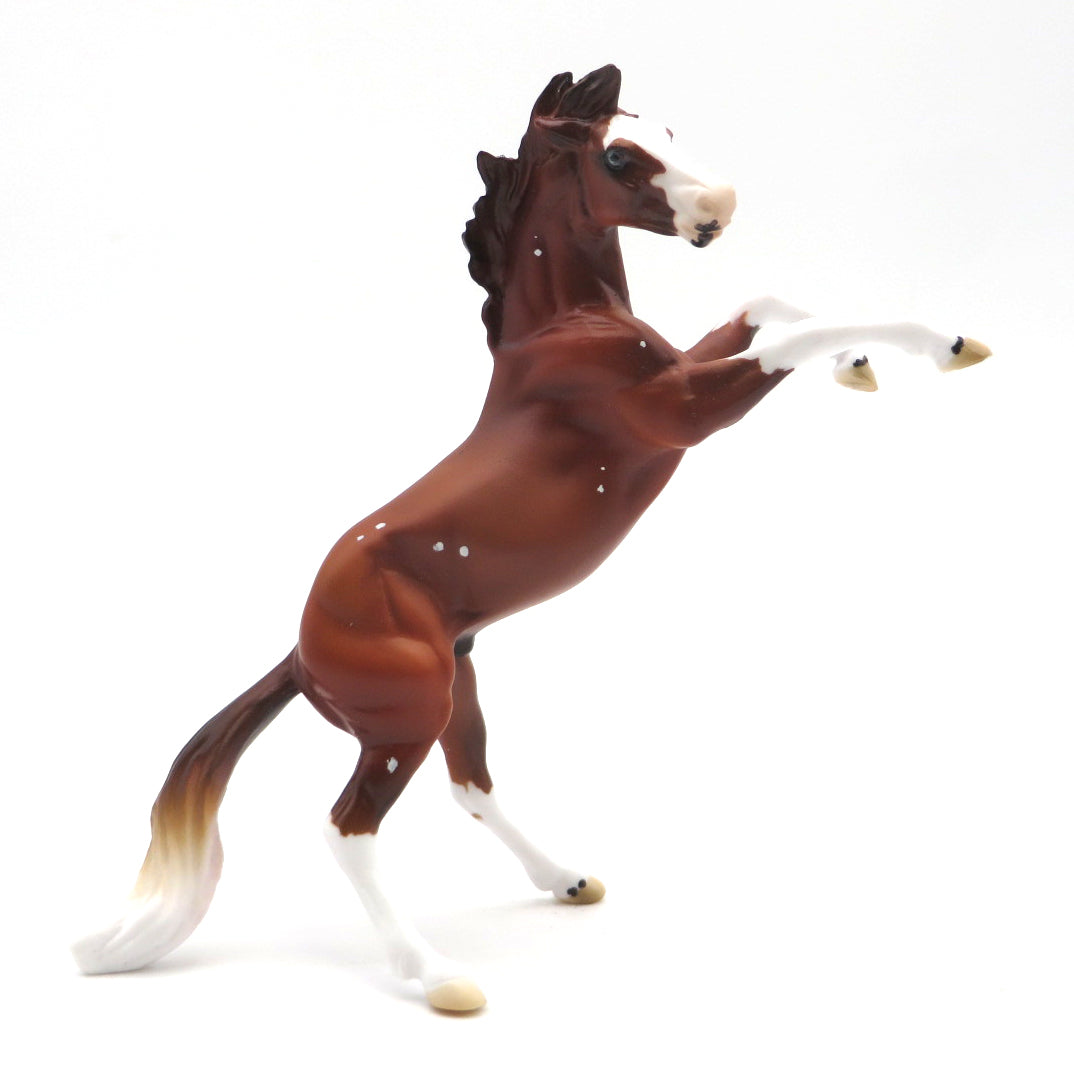 Mini Gunner -- Chestnut Minimal Splash Rearing Chip -- Stone Bowl V