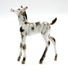 Seagress-OOAK Appaloosa Foal Chip STONE BOWL V