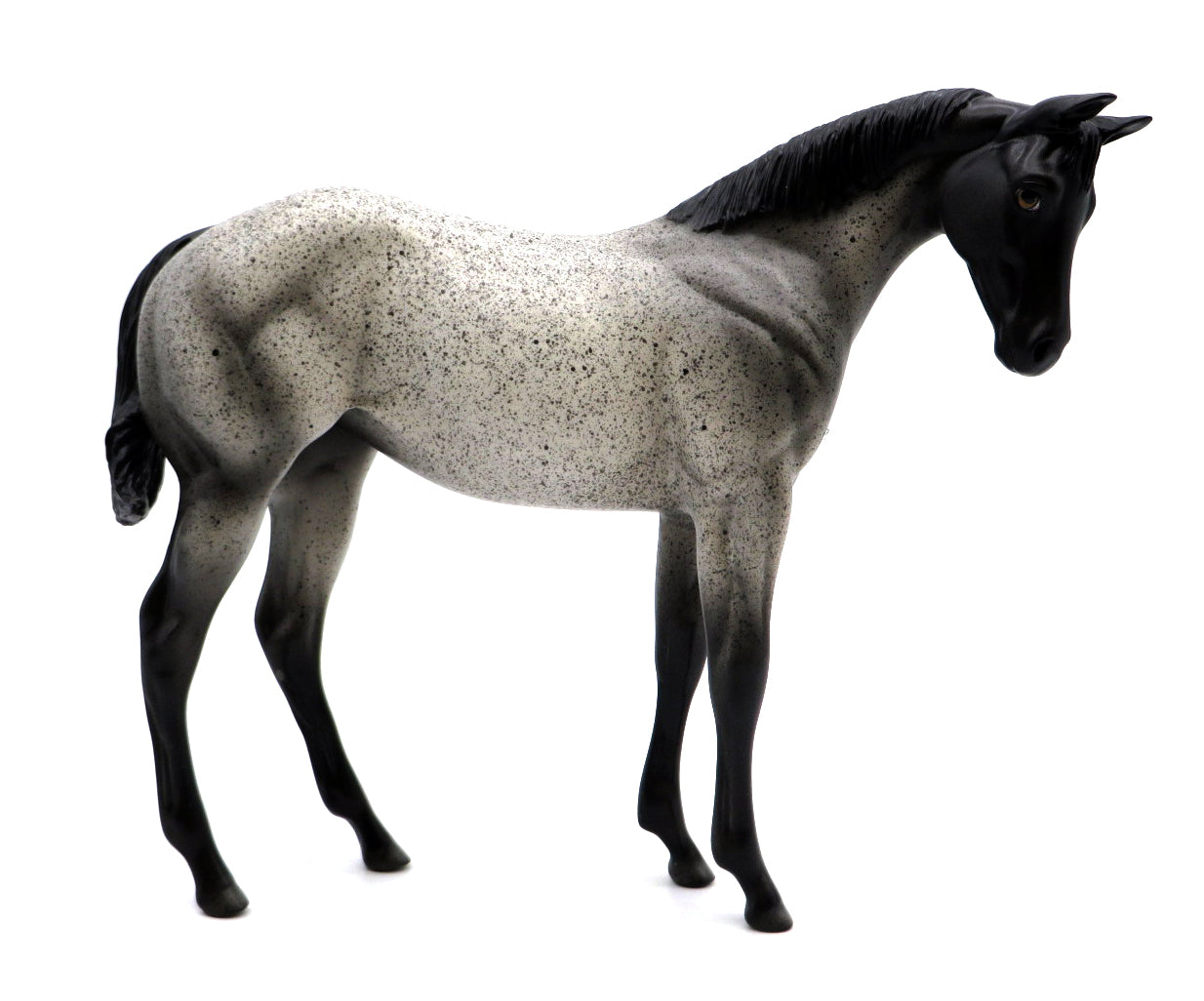 Checkdown - OOAK Roan Weanling Stone Bowl V