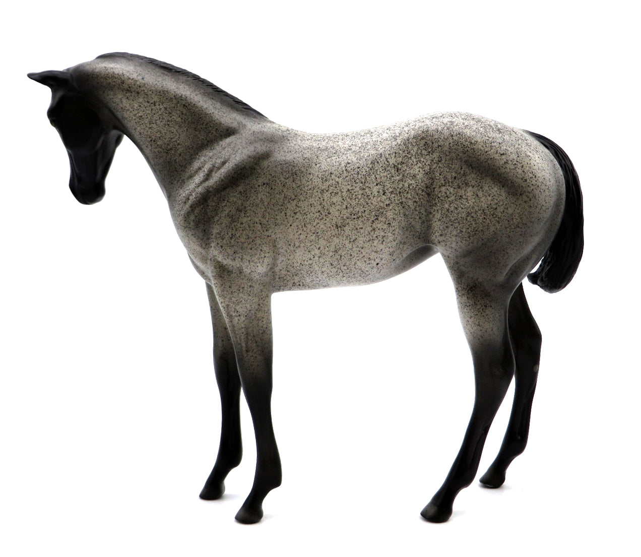 Checkdown - OOAK Roan Weanling Stone Bowl V