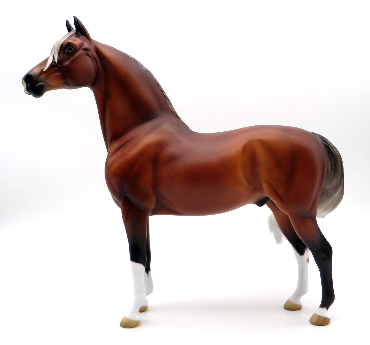 Paradise-OOAK Silver Bay Morgan Painted by Ellen Robbins 2/7/22