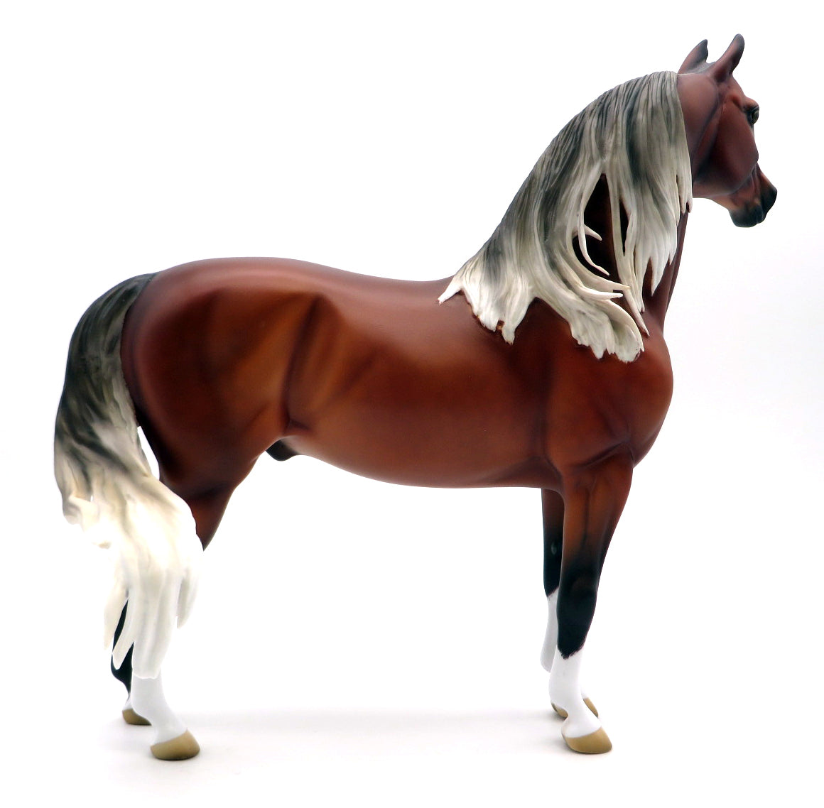 Paradise-OOAK Silver Bay Morgan Painted by Ellen Robbins 2/7/22