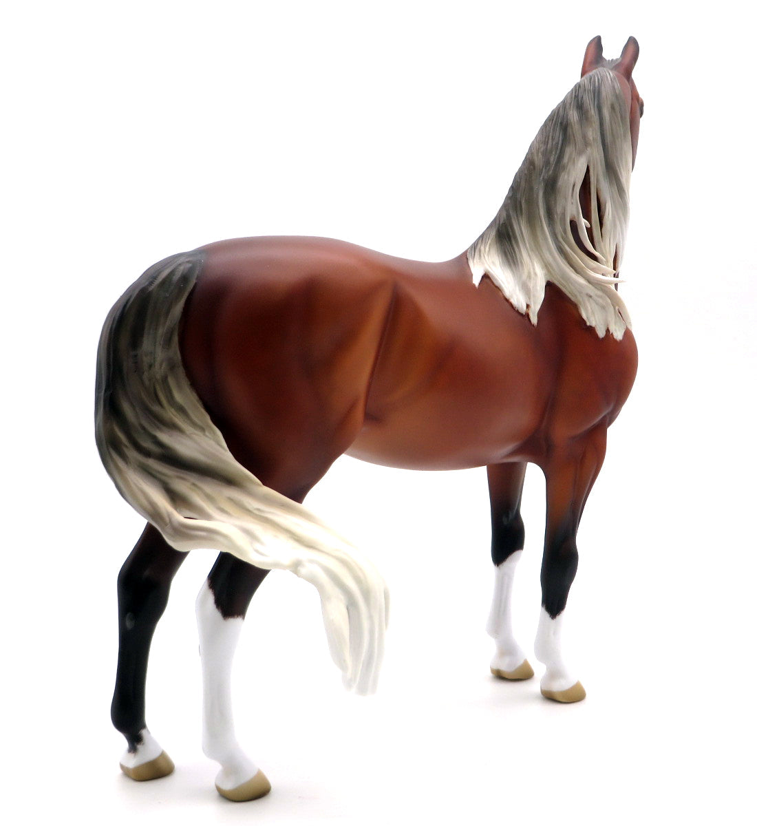 Paradise-OOAK Silver Bay Morgan Painted by Ellen Robbins 2/7/22