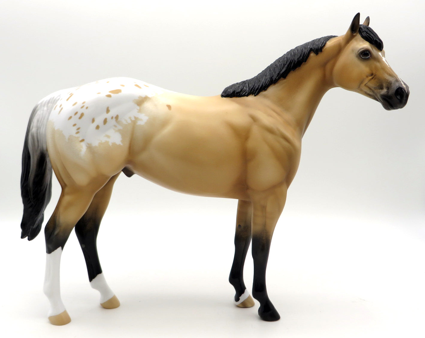 King of California-OOAK Bay Dun Appaloosa ISH Painted by Ellen Robbins 2/7/22
