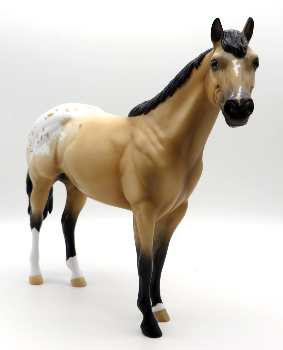 King of California-OOAK Bay Dun Appaloosa ISH Painted by Ellen Robbins 2/7/22