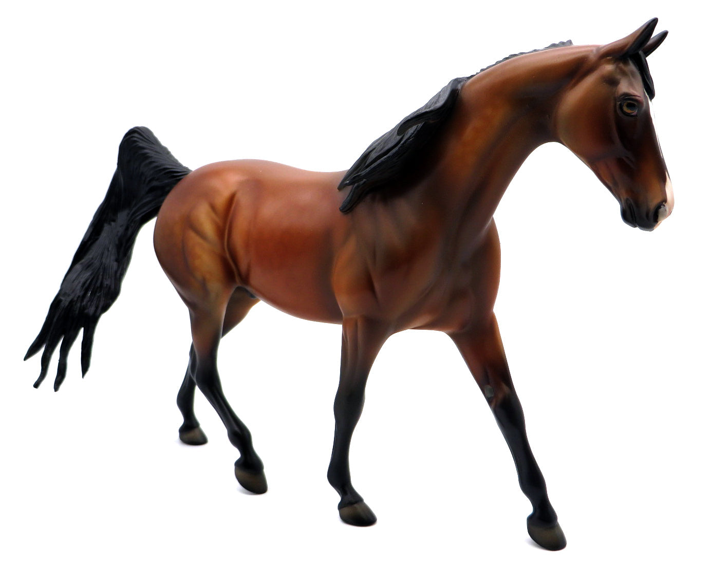 SACK THE QUARTER BACK -OOAK  DAPPLE BAY PONY SB V