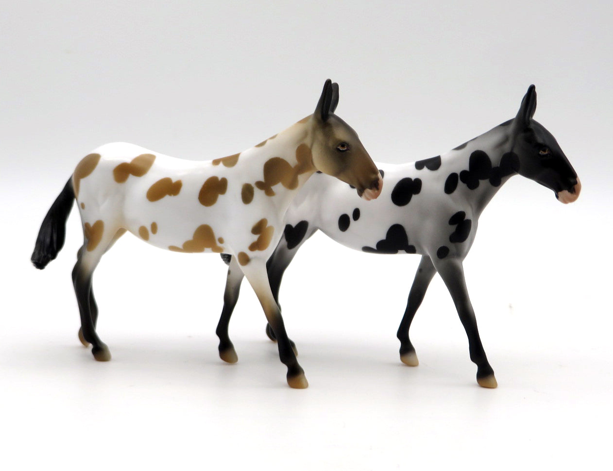 Mini Kicker -- Appaloosa Mule Chip -- Stone Bowl V