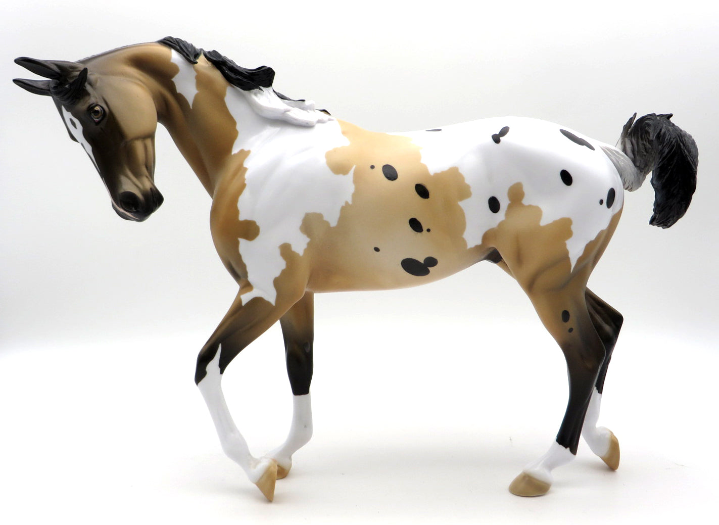 Linebacker -- Gambler&#39;s Choice Thoroughbred -- Stone Bowl V