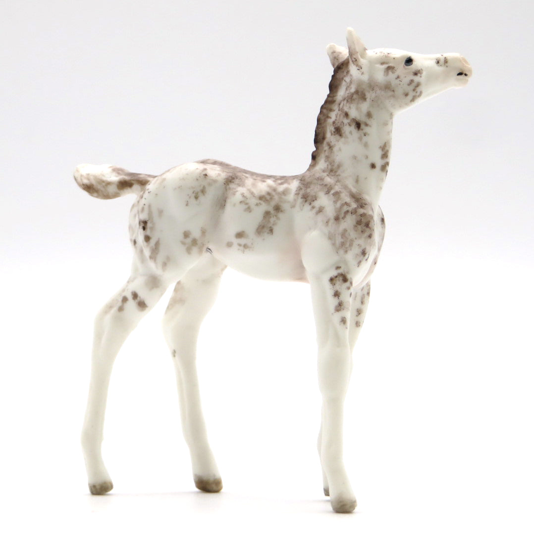 Malibu- OOAK  Appaloosa Foal  Chip STONE BOWL V