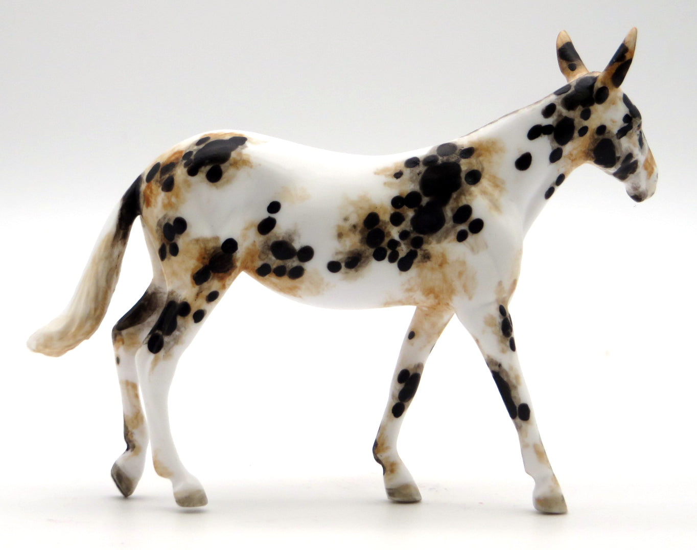 Knod-OOAK Loud Appaloosa Mule Chip STONE BOWL V