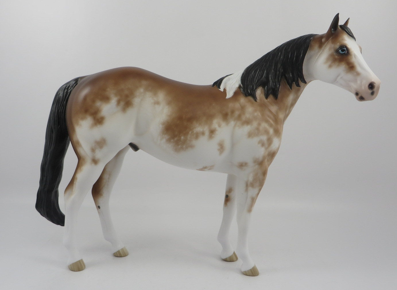 Macroblast-OOAK Bay Sabino ISH Painted By Sheryl Leisure 2/21