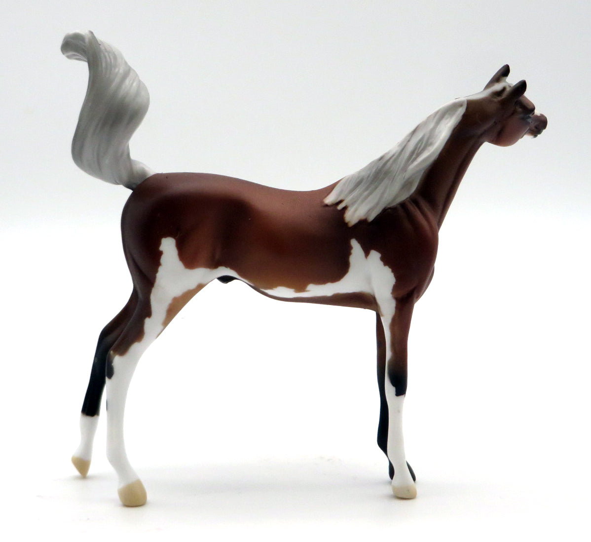 Long Snapper- OOAK Silver Bay Pinto Arabian Chip STONE BOWL V