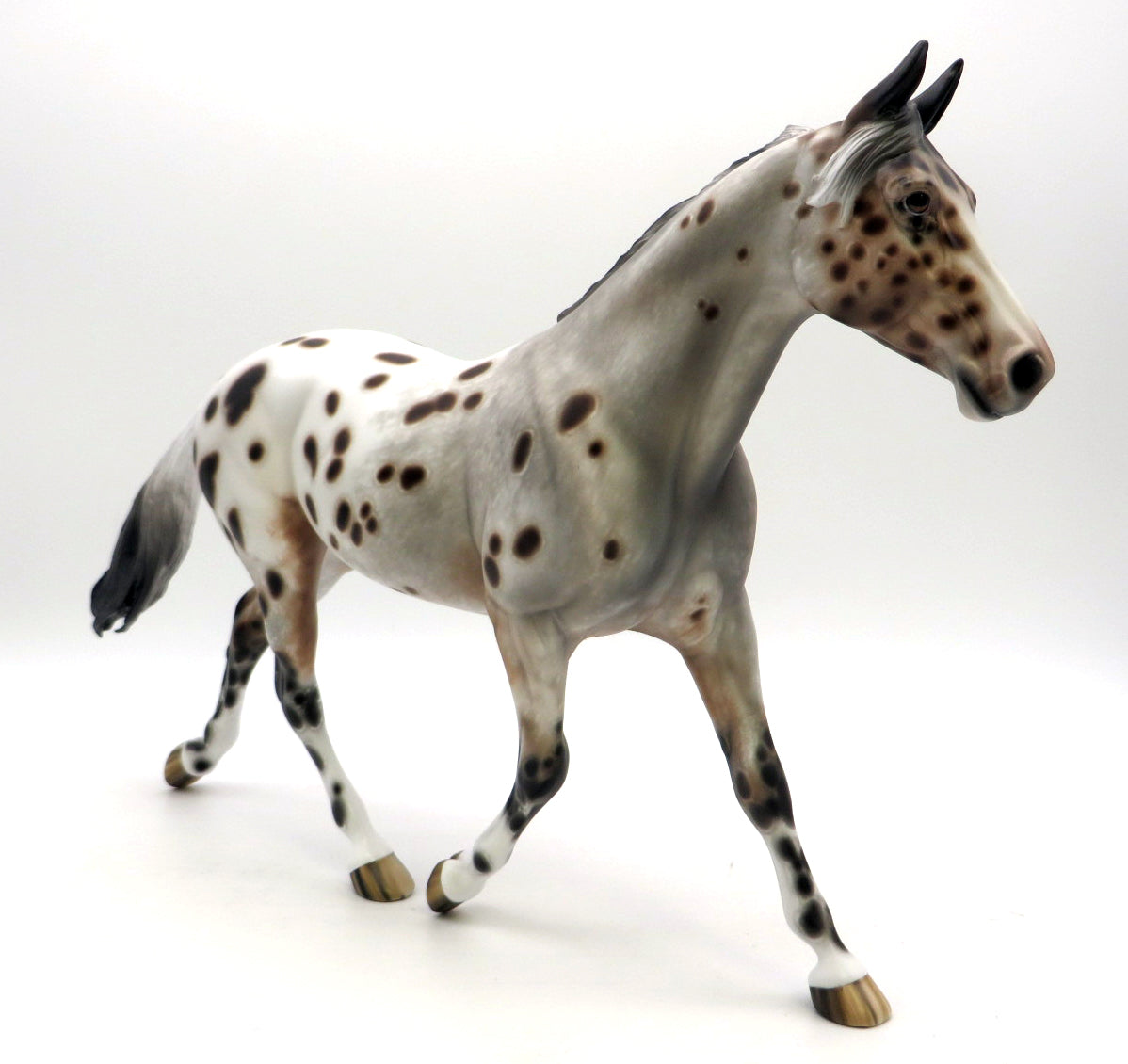 Hop Scotch- OOAK Appaloosa Palouse -SB22