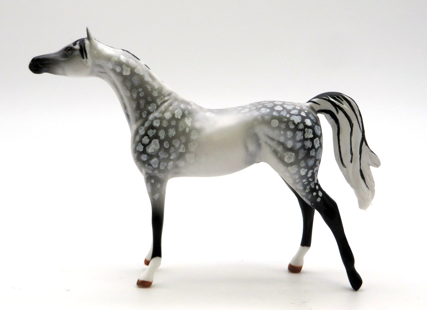 Shift-OOAK Dapple Grey Arabian Chip 2/14/22