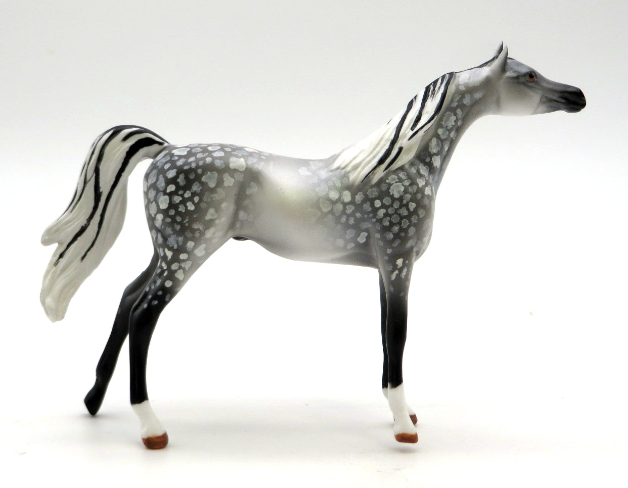 Shift-OOAK Dapple Grey Arabian Chip 2/14/22