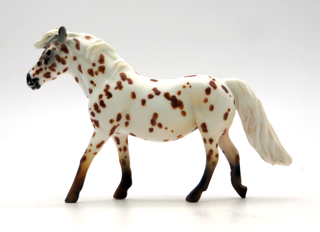 Spiral-OOAL Appaloosa Chips Pony Painted by Andrea 2/14/22