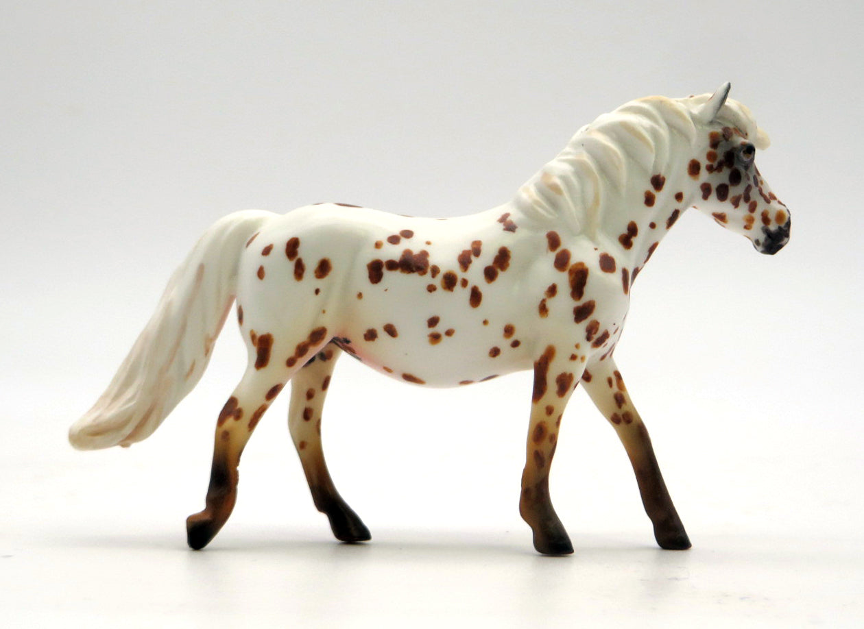 Spiral-OOAL Appaloosa Chips Pony Painted by Andrea 2/14/22