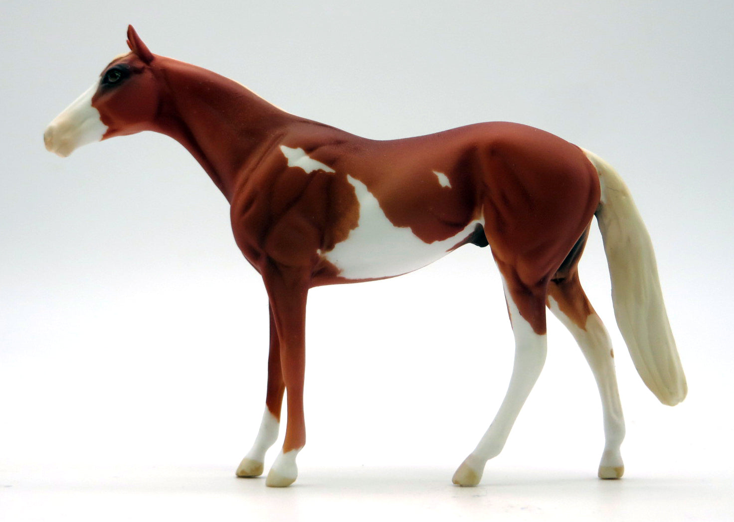 True Freshman-OOAK Chestnut Pinto TB Chip 2/14/22