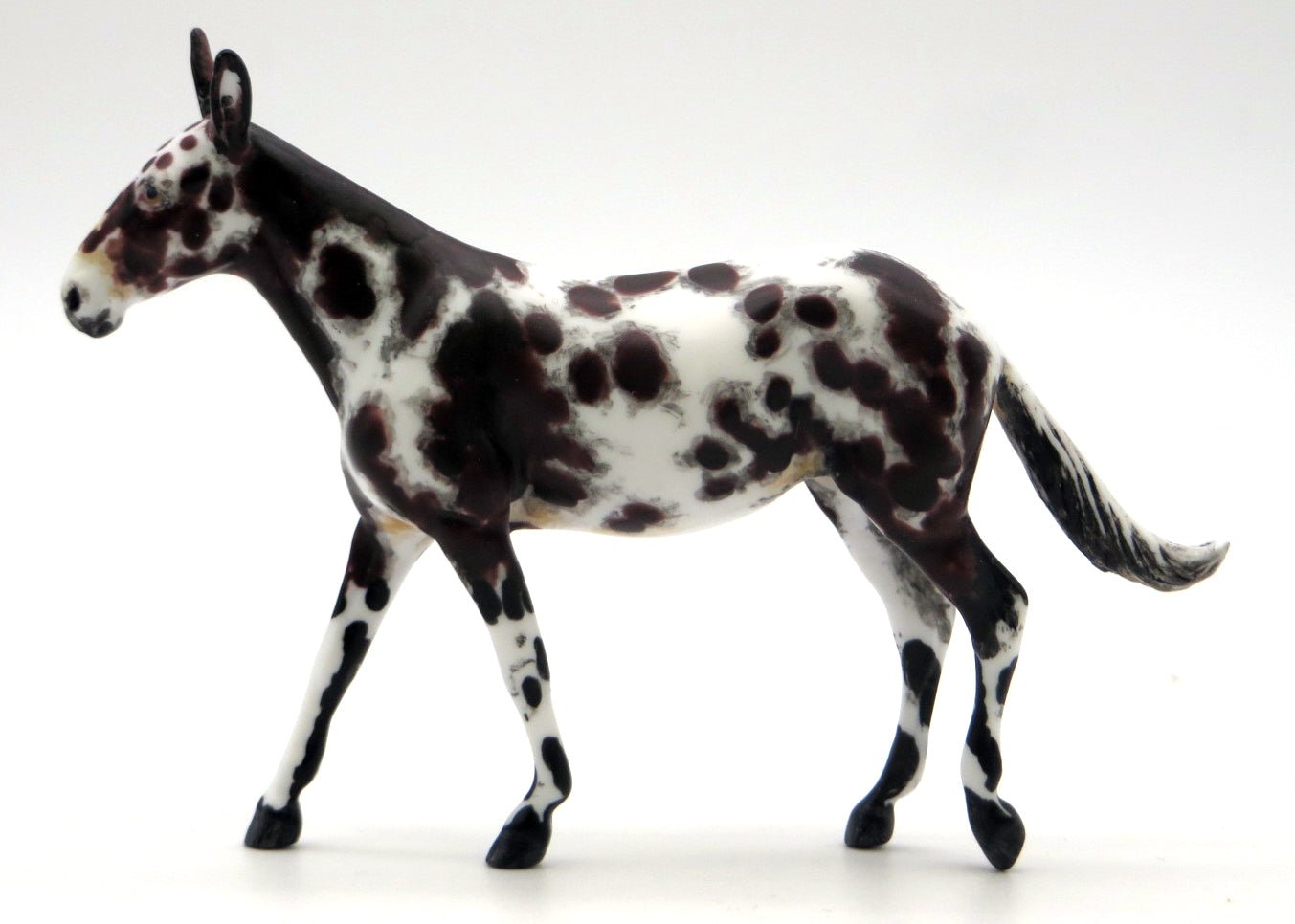 Meander-OOAK Loud Appaloosa Mule Chip Painted by Andrea 2/23/22