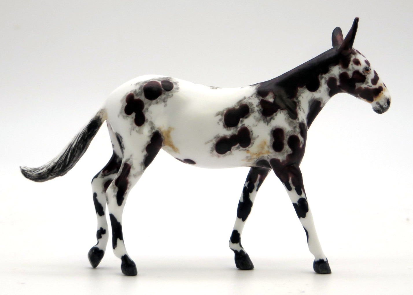 Meander-OOAK Loud Appaloosa Mule Chip Painted by Andrea 2/23/22