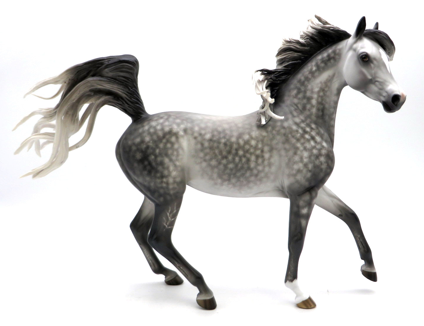 Rhoda - Dapple Gray Arabian by Sheryl Leisure - 2/22/22