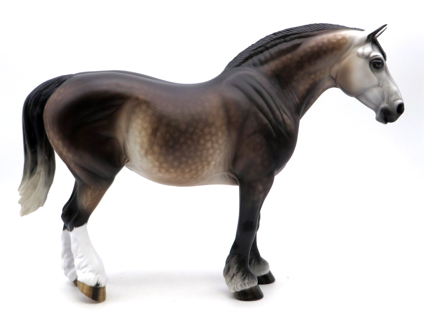 Phyliss - Bay Going Grey Heavy Drafter by Sheryl Leisure - 2/28/22