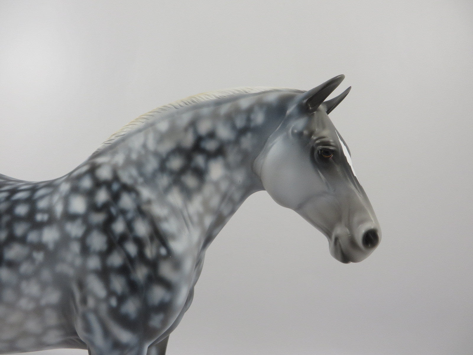 Ripple Effect-OOAK Heavy Draft Mare SB 21