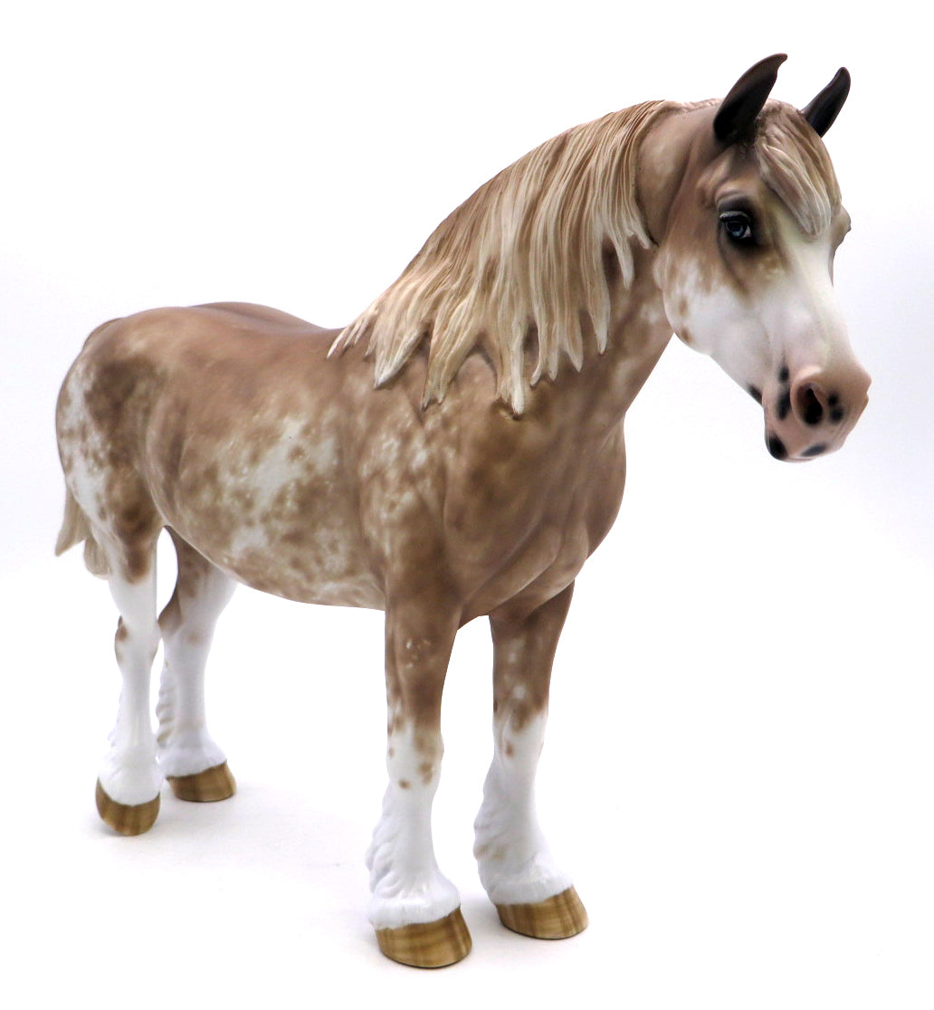 Georgette - Chestnut Sabino Heavy Drafter by Sheryl Leisure - 2/28/22