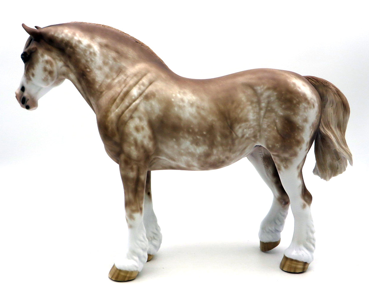 Georgette - Chestnut Sabino Heavy Drafter by Sheryl Leisure - 2/28/22