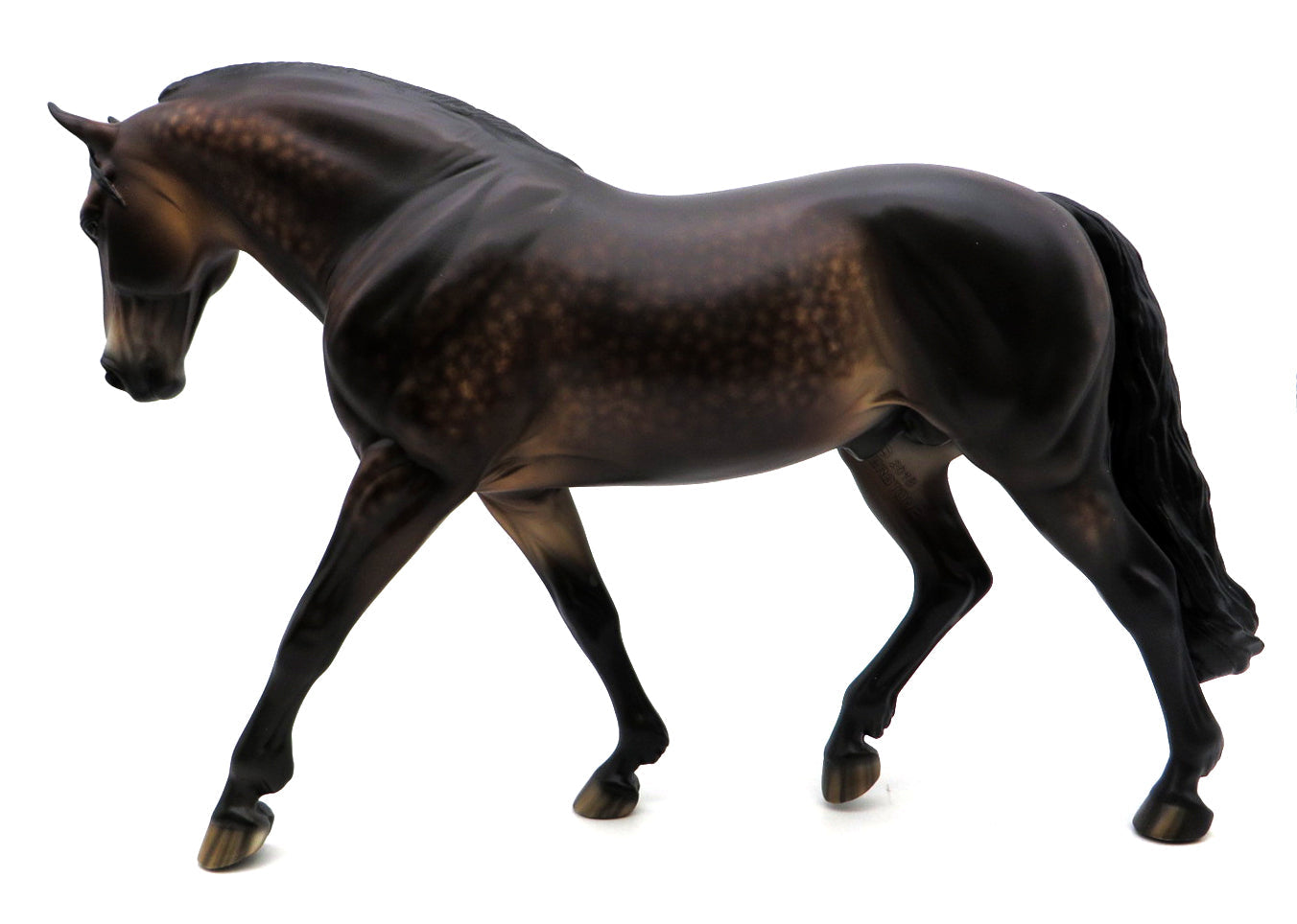 Gordy - Dapple Bay Irish Drafter by Sheryl Leisure - 2/28/22