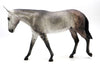 Sue Ann- Dapple Grey Mule  by Sheryl Leisure - 2/28/22