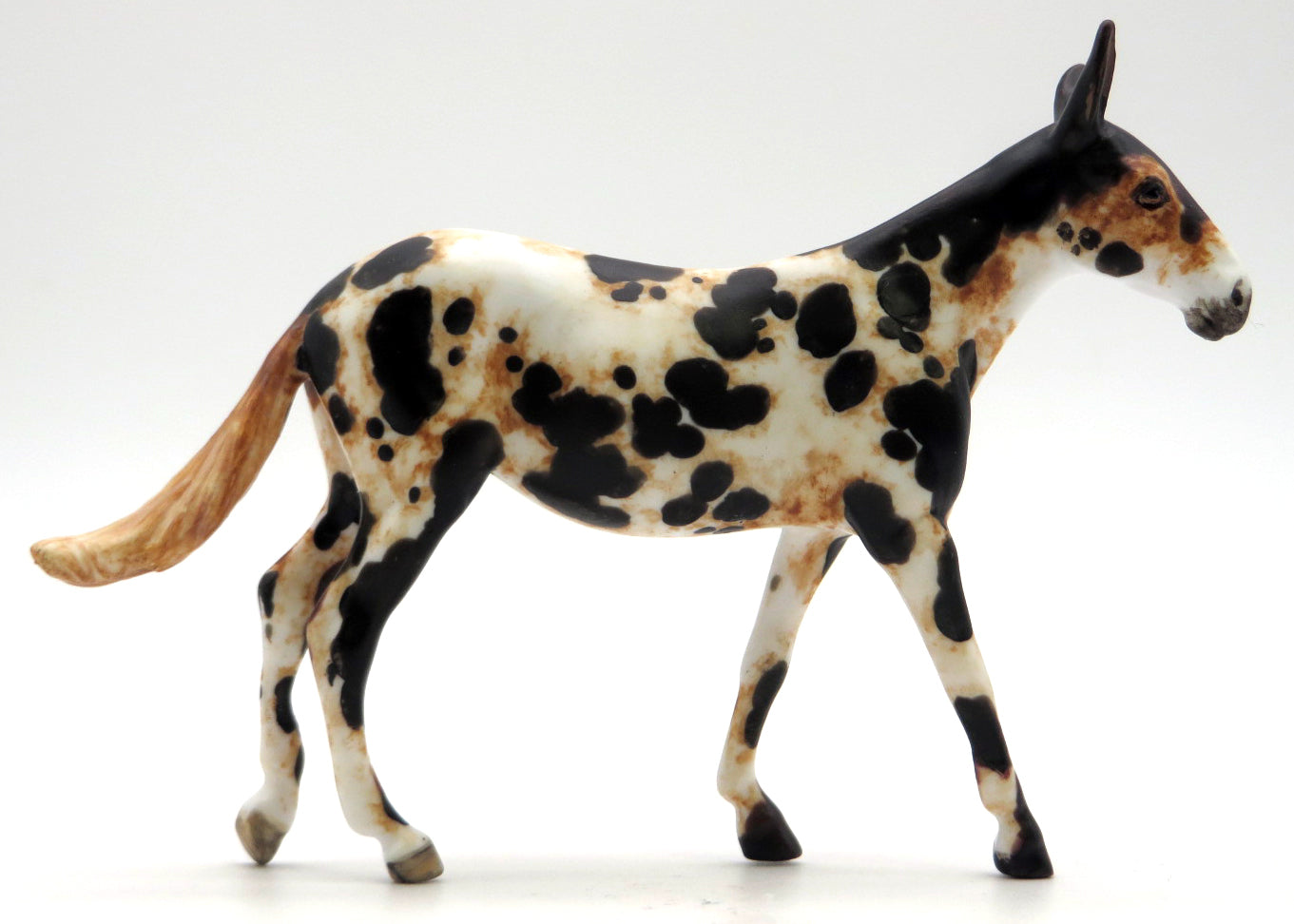 Kapow- OOAK Loud Appaloosa Mule Painted by Andrea 2/25/22