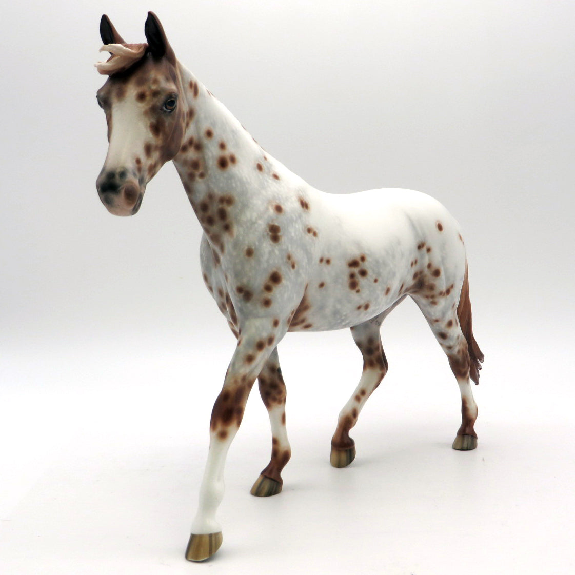 Tic Tac Toe- Appaloosa Pony  by Sheryl Leisure - 2/28/22