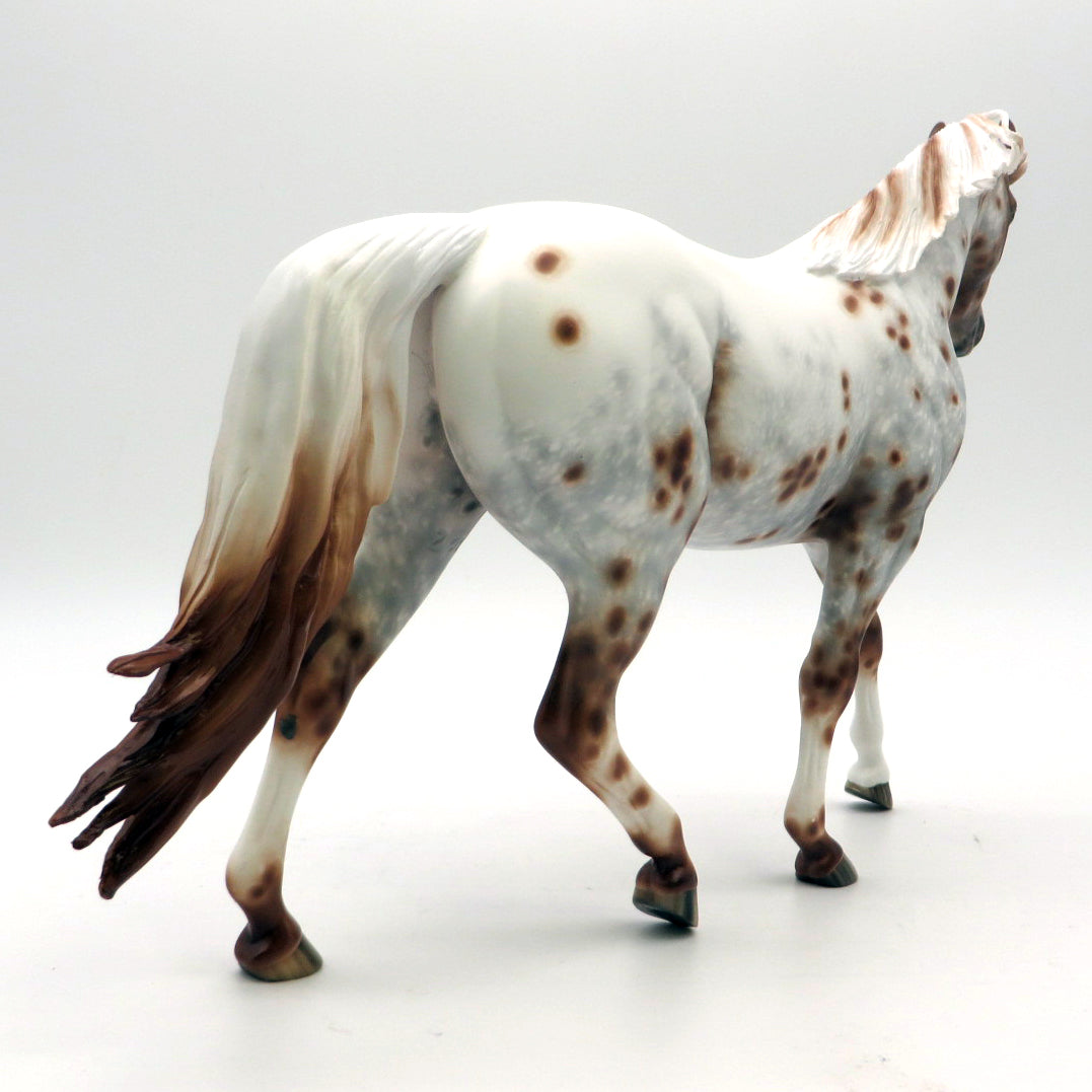 Tic Tac Toe- Appaloosa Pony  by Sheryl Leisure - 2/28/22