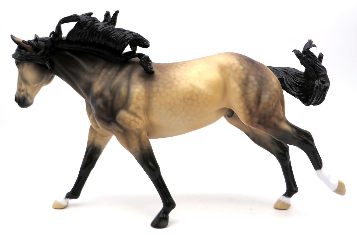 Music of the Night - Sooty Buckskin by Ellen Robbins