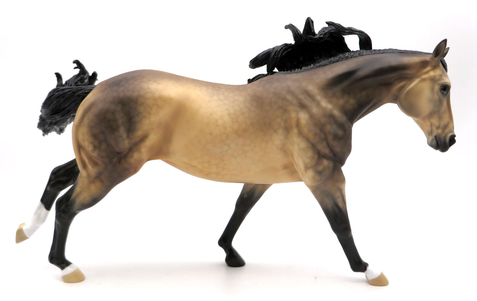 Music of the Night - Sooty Buckskin by Ellen Robbins