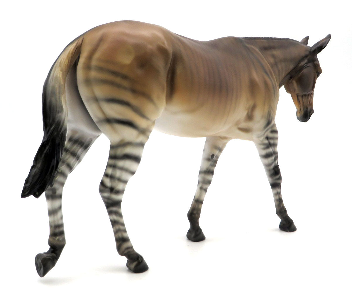 Zonkey - Zebra/Donkey Cross by Ellen Robbins