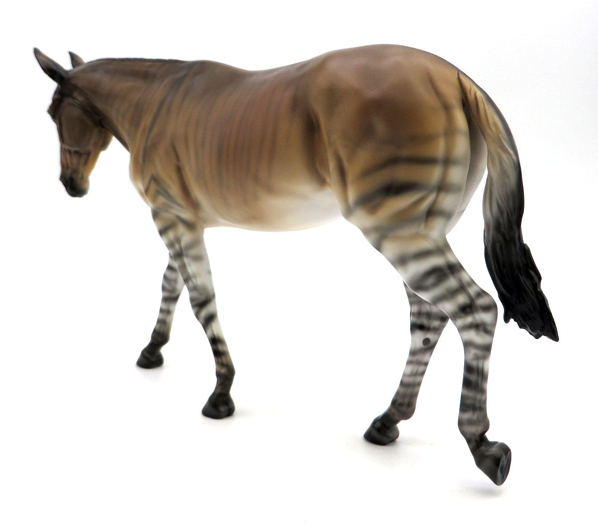 Zonkey - Zebra/Donkey Cross by Ellen Robbins