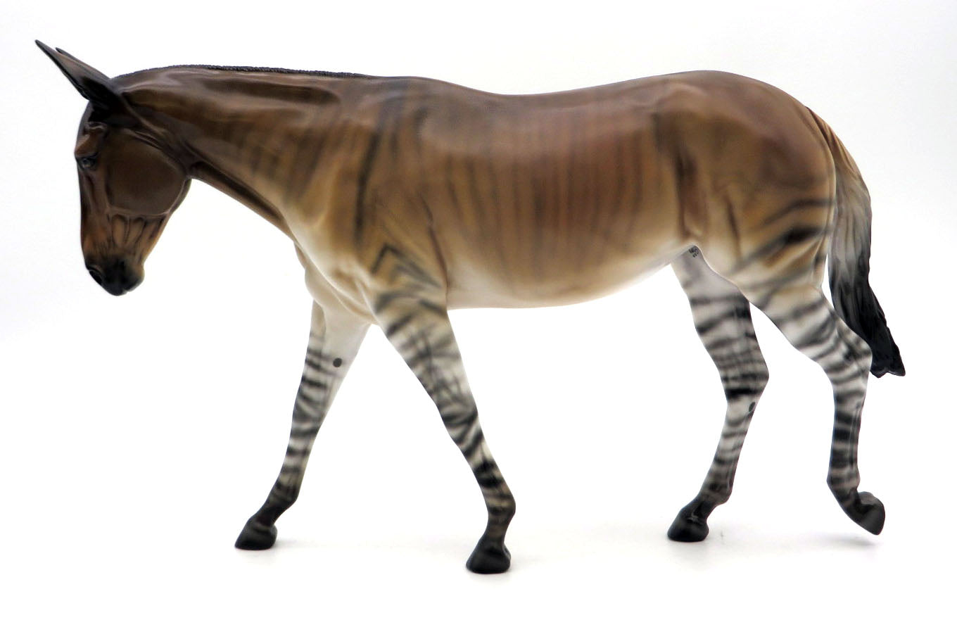 Zonkey - Zebra/Donkey Cross by Ellen Robbins