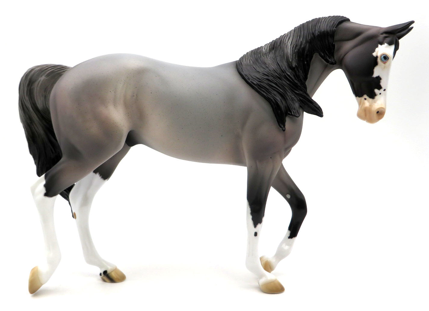 Blue Moon - Blue Roan Sabino Thoroughbred by Jess Hamill