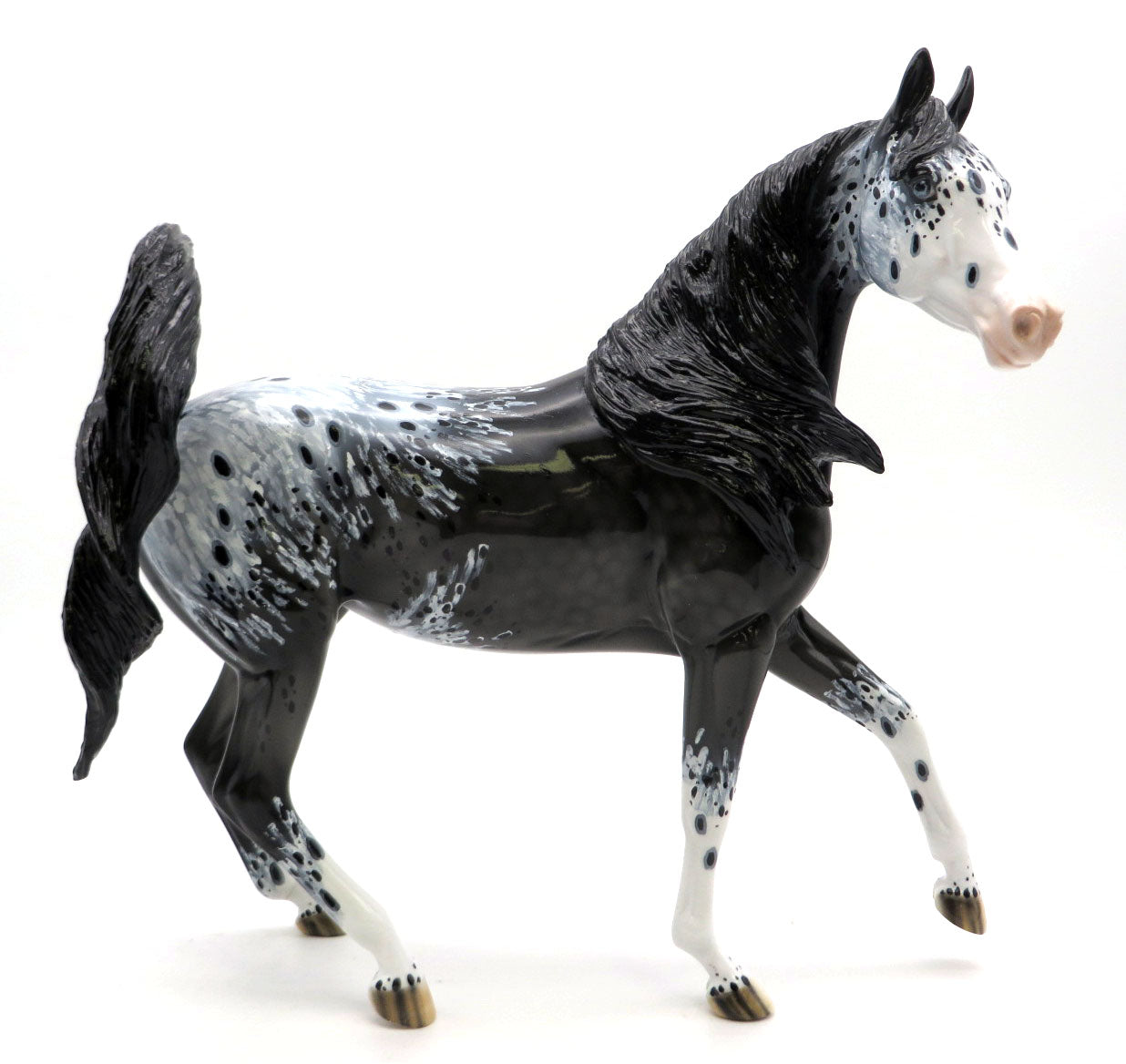 Hawk - Dark Gray Appaloosa by Dawn Quick