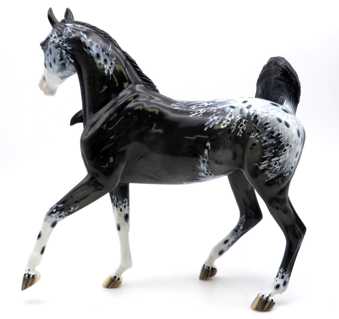 Hawk - Dark Gray Appaloosa by Dawn Quick